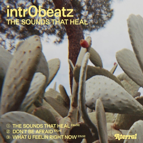 Intr0beatz - The Sounds That Heal [ATRRL025]